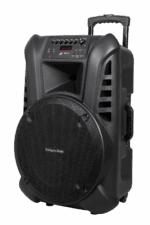 Aktívny reproduktorový stĺpik (s 2 bezdrôtovými mikrofónmi UHF, SD, Bluetooth, FM, USB) 60 Wattov
