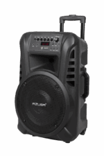 Aktívny reproduktor (s 2 bezdrôtovými mikrofónmi, SD, Bluetooth, USB) 12" 40W