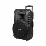 Aktívny reproduktor (s 2 bezdrôtovými mikrofónmi, SD, Bluetooth, USB) 15" 120W