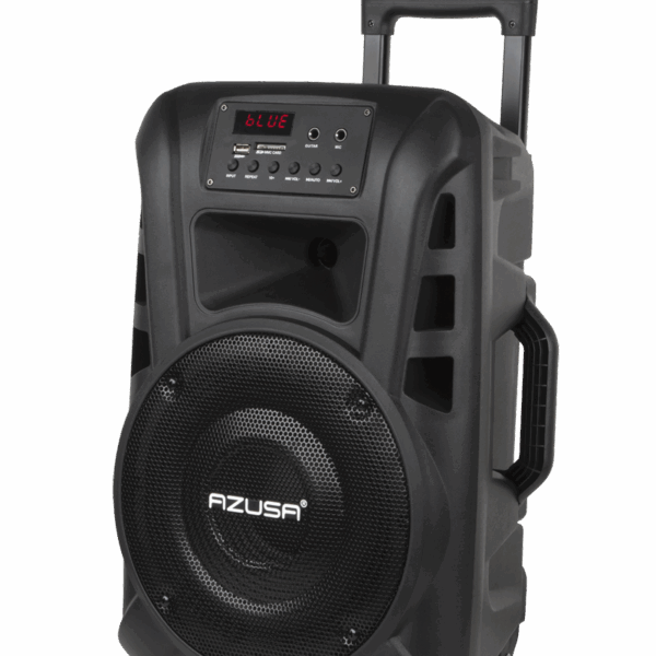 Aktívny reproduktor (s 2 bezdrôtovými mikrofónmi, SD, Bluetooth, USB) 40Watt