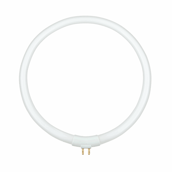 T4 22W Rebel lampa pre lampu s lupou NAR0299
